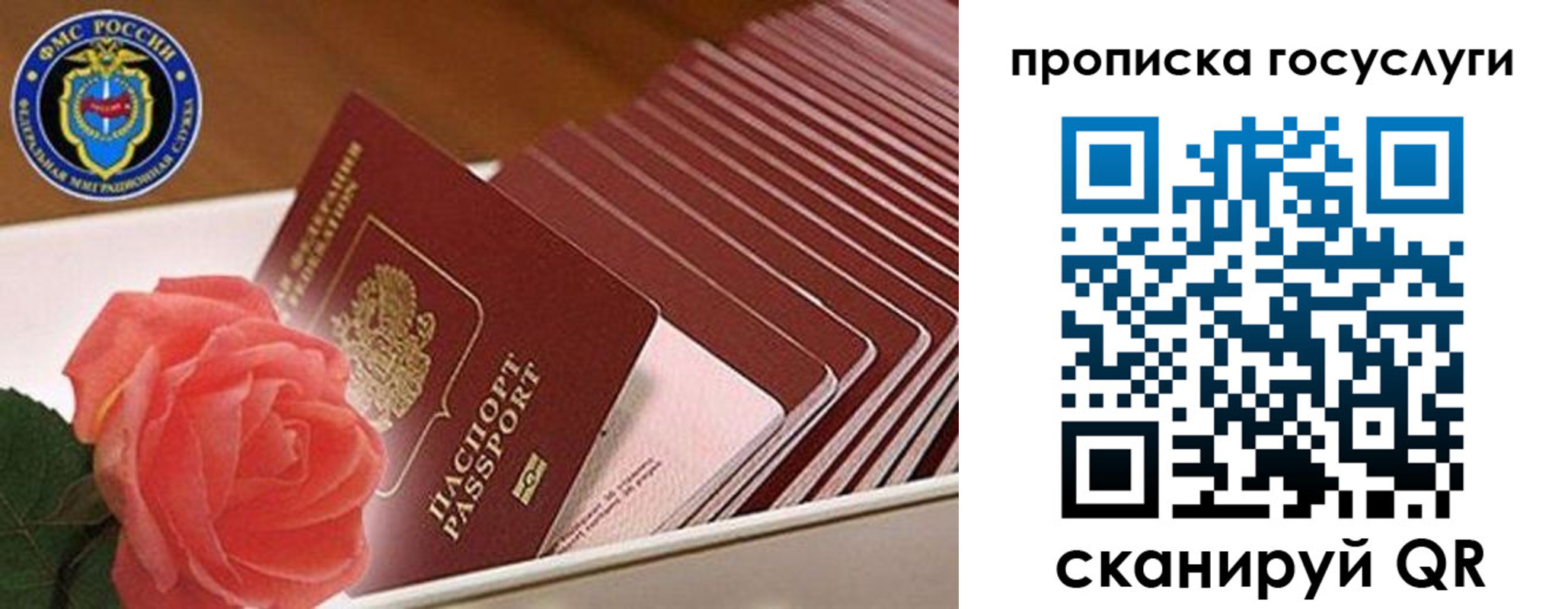 прописка поиск в Екатеринбурге